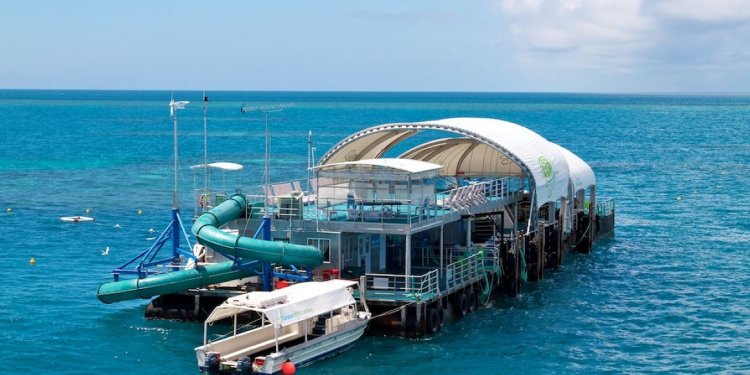 The best Reef Trips to Great