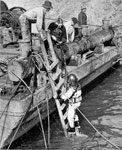 A diver prepares be effective from the connection's foundations
