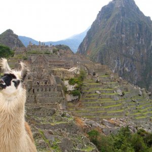 Machu Picchu sits saturated in the Andes.