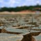 Amazon rainforest drought