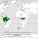 Average rainfall in the Amazon rainforest