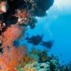 Best place to see Great Barrier Reef