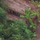Indigenous tribes of the Amazon rainforest