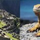 Machu Picchu, Galapagos