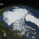 Polar ice caps growing