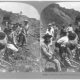 Yellow fever and the Panama Canal