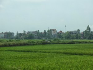Rural Vietnam (houses in background)