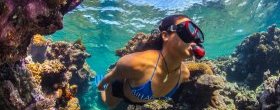 Snorkeling
