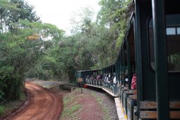The tren de la selva.