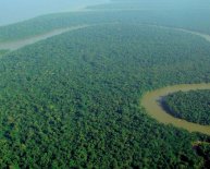 Amazon rainforest latitude