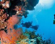 Best place to see Great Barrier Reef