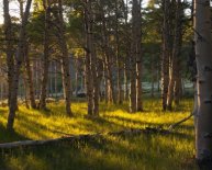 Table Mountain Casino address