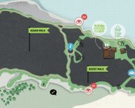 Table Mountain Walking trails