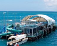 Trips to Great Barrier Reef