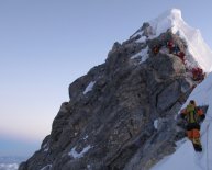 What animals live on Mount Everest?