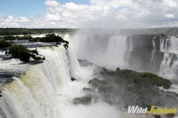 Watch the water from Iguazu River flow over the Paraná Plateau.