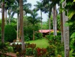 Yucatan Birding, bird-watching tours offered by Hacienda Chichen, Chichen Itza, Mexico